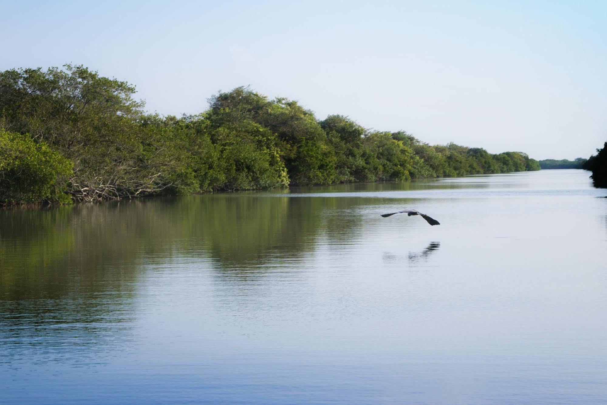 Isla Tajin Hotel Tuxpan  Eksteriør billede
